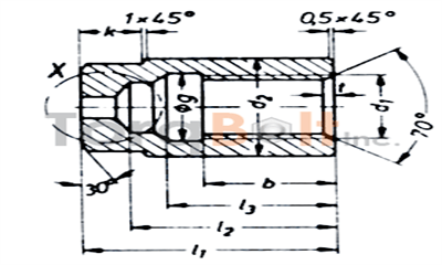 DIN 2510 Part 6 Type AF Cap Nut